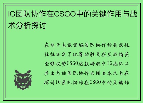 IG团队协作在CSGO中的关键作用与战术分析探讨