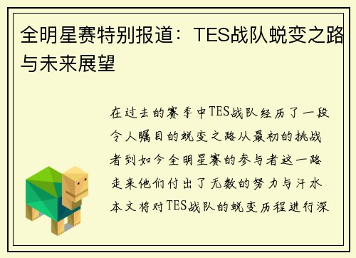 全明星赛特别报道：TES战队蜕变之路与未来展望