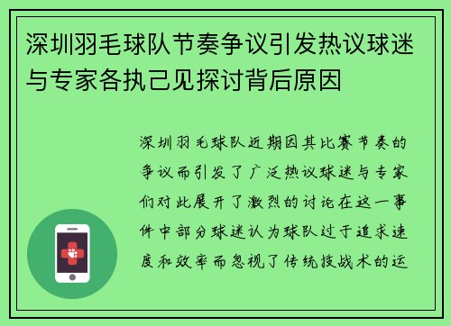 深圳羽毛球队节奏争议引发热议球迷与专家各执己见探讨背后原因